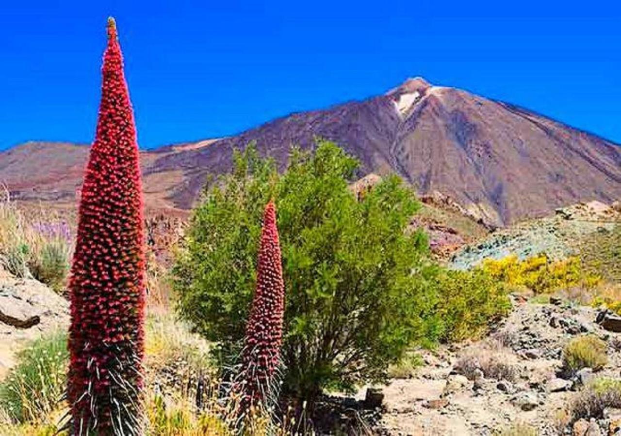 Casa Tayri De Tamaide Tenerife Sur San Miguel de Abona Dış mekan fotoğraf